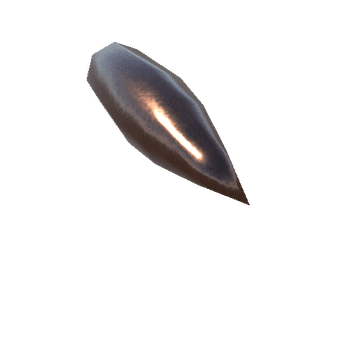 9,3 x 64 mm Bullet_1_2